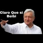 insano 