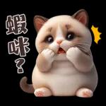 可愛暹羅貓的日常