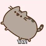 Pusheen