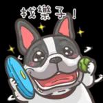 法鬥皮古-豬朋狗友