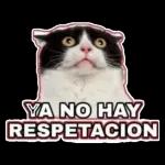 Aquí Pensando