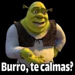 Burro, te calmas?
