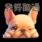 傻萌小法鬥