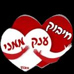 יאיר רומר כאור החמה