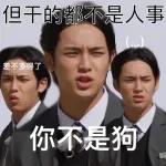 seventeen表情管理2 :: @fStikBot