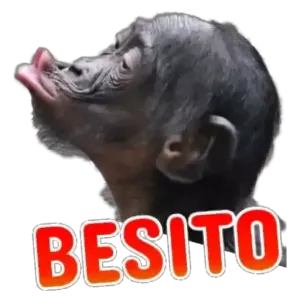 gpsibmu