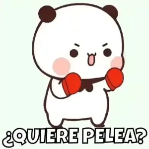 wpIOoB