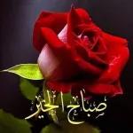 السلام عليكم