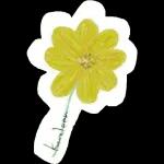 Love you forever 💛