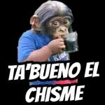 RANG STICKERS Ya responde el maldito mensaje