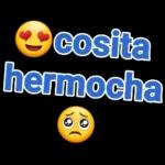 estaticos