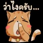 ต่อสิ่งที่ไม่จำเป็นในชีวิตเรา 