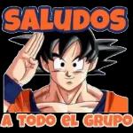 hola grupo