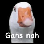 Gans toll~