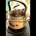 доброе утро
