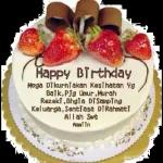 Happy Birthday 
Semoga Diberikan Kesehatan Yg Baik, Pjg Umur, Murah Rezeki, Bhgla DiSamping Keluarga, Sentiasa DiRahmati Allah Swt 
Aamiin