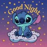 Stitch's lovely night