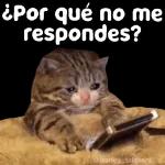gaticos