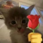 Animais com Emoji de Flor 🌹