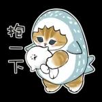 鯊魚貓咪 2