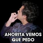 This is a photo of a dog pointing its finger.