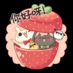 兔子小白與貓咪小黑 2