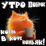 с добрым утром 