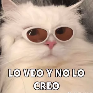 ZCgbCx