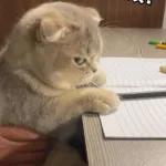 l love u anuel aa❤️‍🩹💫🤞🏻