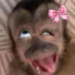 wuenas wuenas