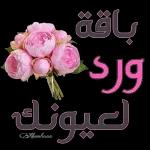 انت الان متصل صلي على النبي