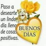 gracias