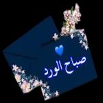 صباح الورد