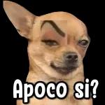 Simón
