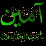 صباحكم صباح المستغفرين والشاكرين وقلوب تعمر بذكر الرحمن في كل حين ))