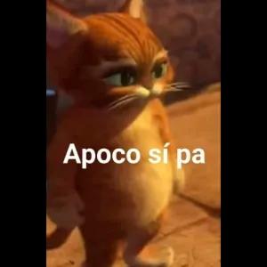 Apoco sí pa - getsticker.com