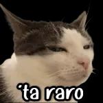 Porque eres asi conmigo?