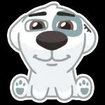 Spotty
                            Andrey Yakovenko