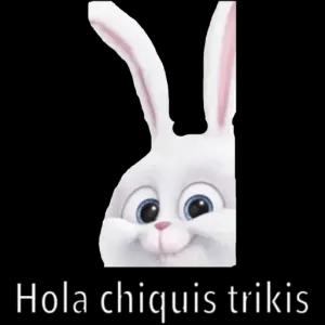 FrmEqs