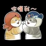 鯊魚貓咪 2