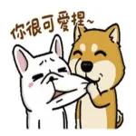 多休息，好好照顧身體