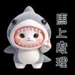 Shark Chubby Meow [TW]