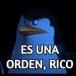 Pegatinas gratis