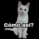 jejeje 
