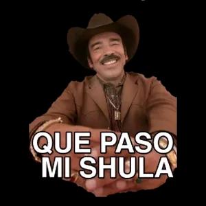 QUE PASO MI SHULA - getsticker.com