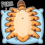 Totoro
                            Darya Ogneva