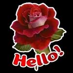 Hello