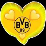NUR DER BVB 