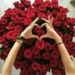 السلام ورحمۃ اللہ وبرکاتہ