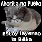 diablos señorita
